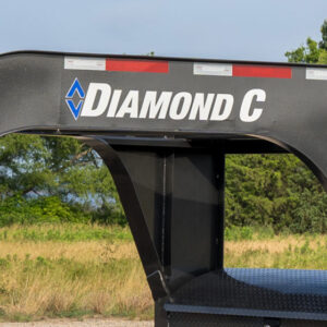 Vinyl Diamond C