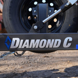 3D Diamond C Vinyl